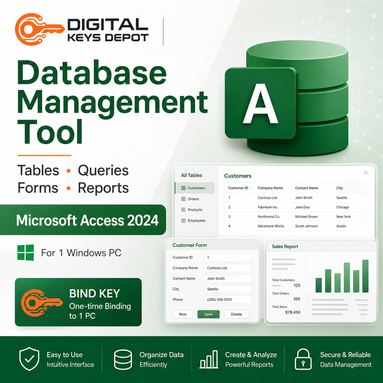 Access 2024 database management tool for tables queries forms and reports
