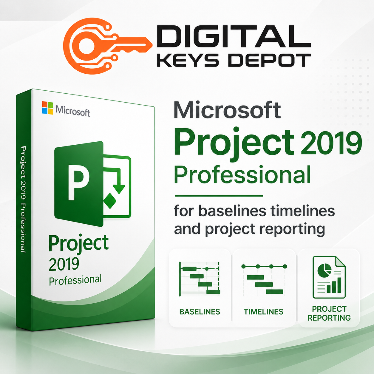 Microsoft Project 2019 Professional for baselines timelines and project reporting (1 PC)