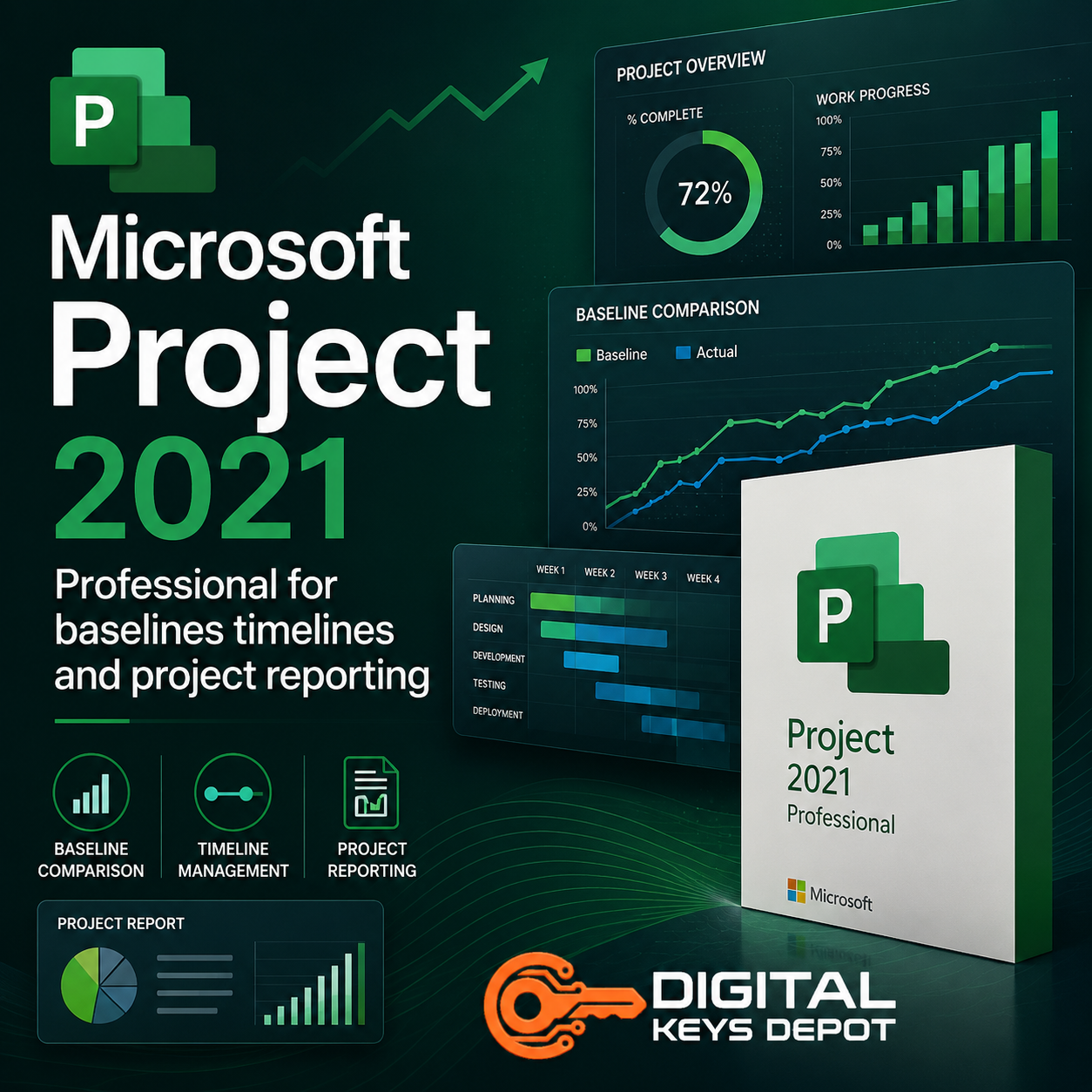 Microsoft Project 2021 Professional for baselines timelines and project reporting