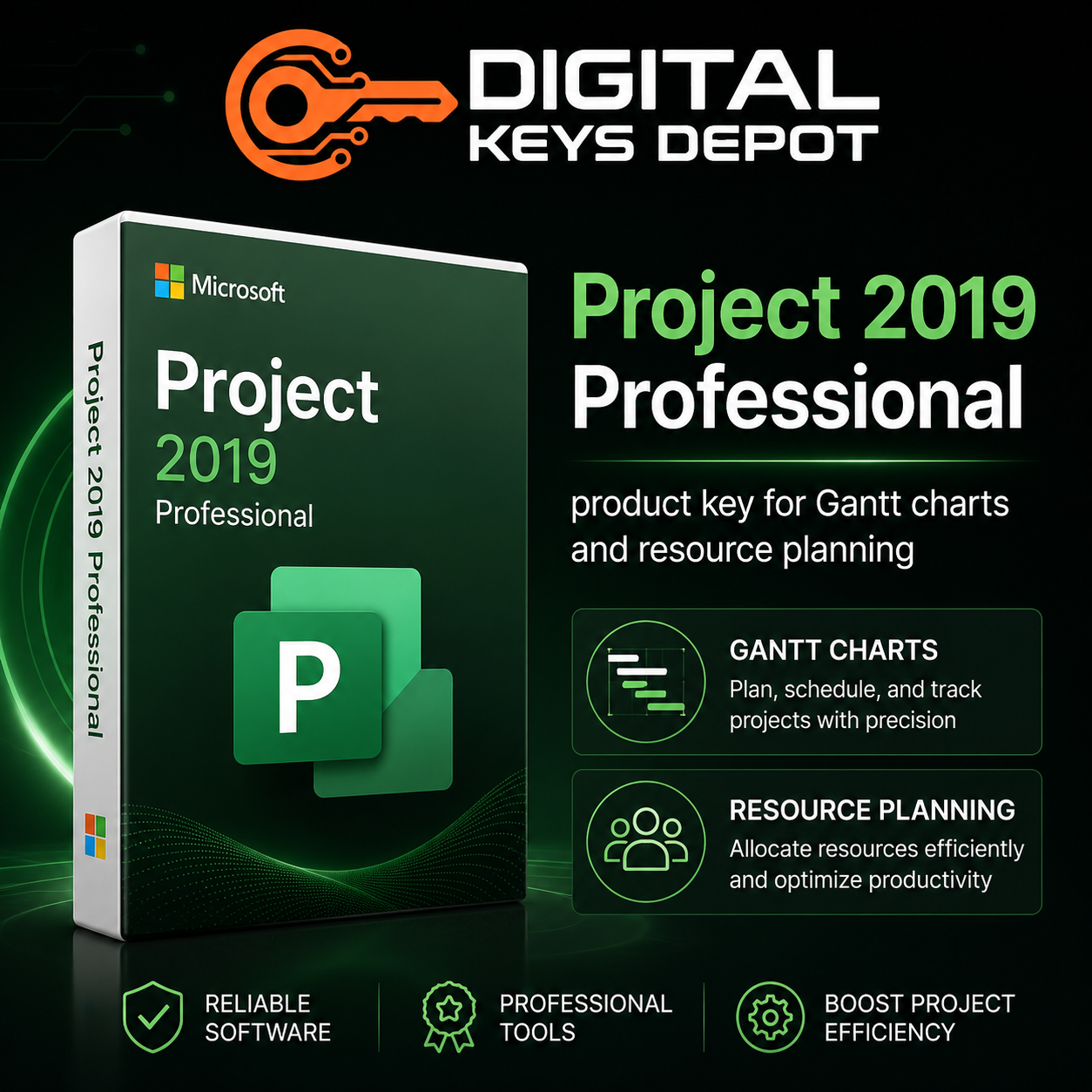 Project 2019 Professional product key for Gantt charts and resource planning (1 PC)
