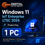 Microsoft Windows 11 IoT Enterprise LTSC 2024 product key for 1 PC