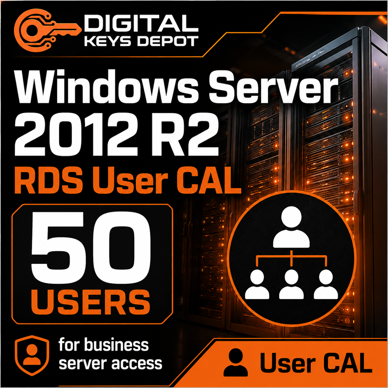 Microsoft Windows Server 2012 R2 RDS User CAL for business server access